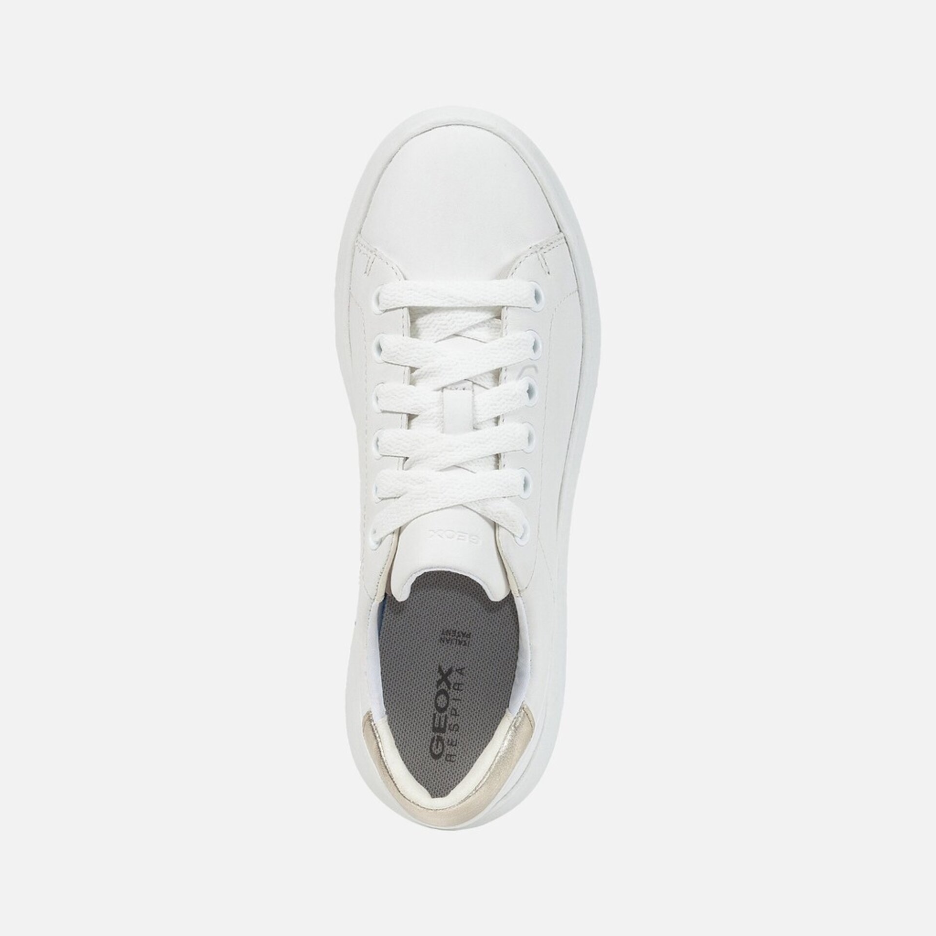 Deportiva Geox SPHERICA EC4.1 D45TCC - 10