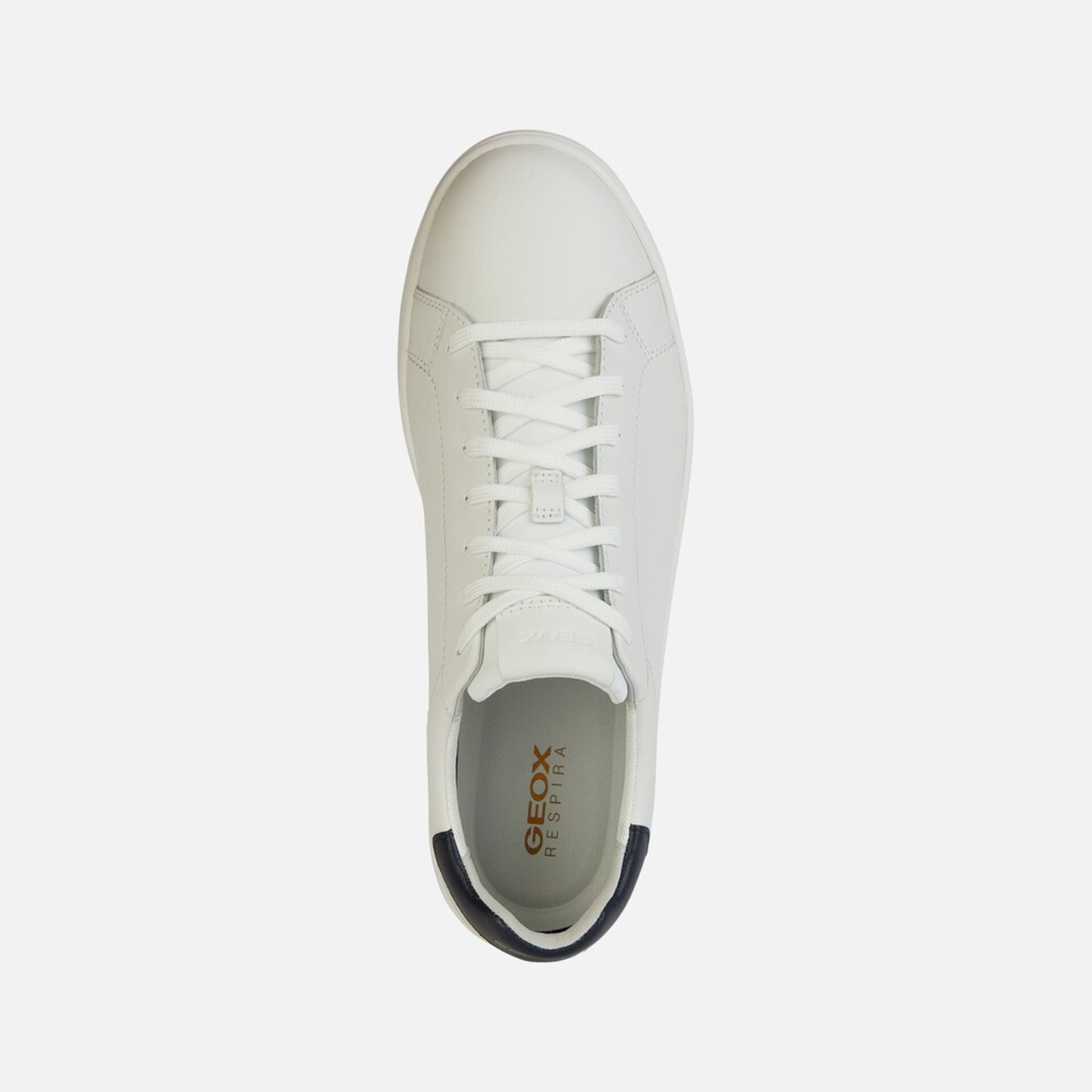 Deportivo Geox Spherica Ecub-1 U45GPA - 5