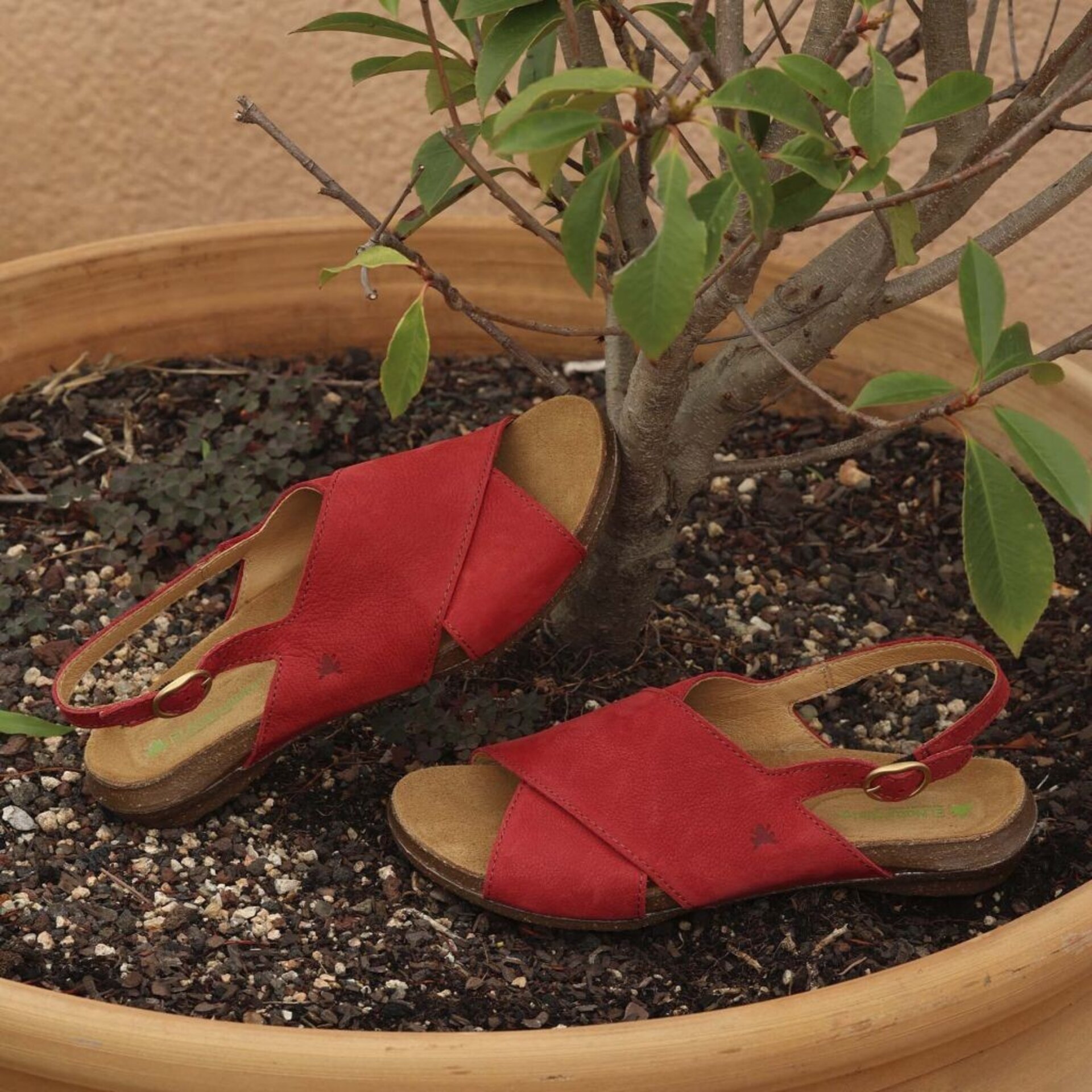 Sandalia El Naturalista nobuck Wakataua tibet N5558 - 7