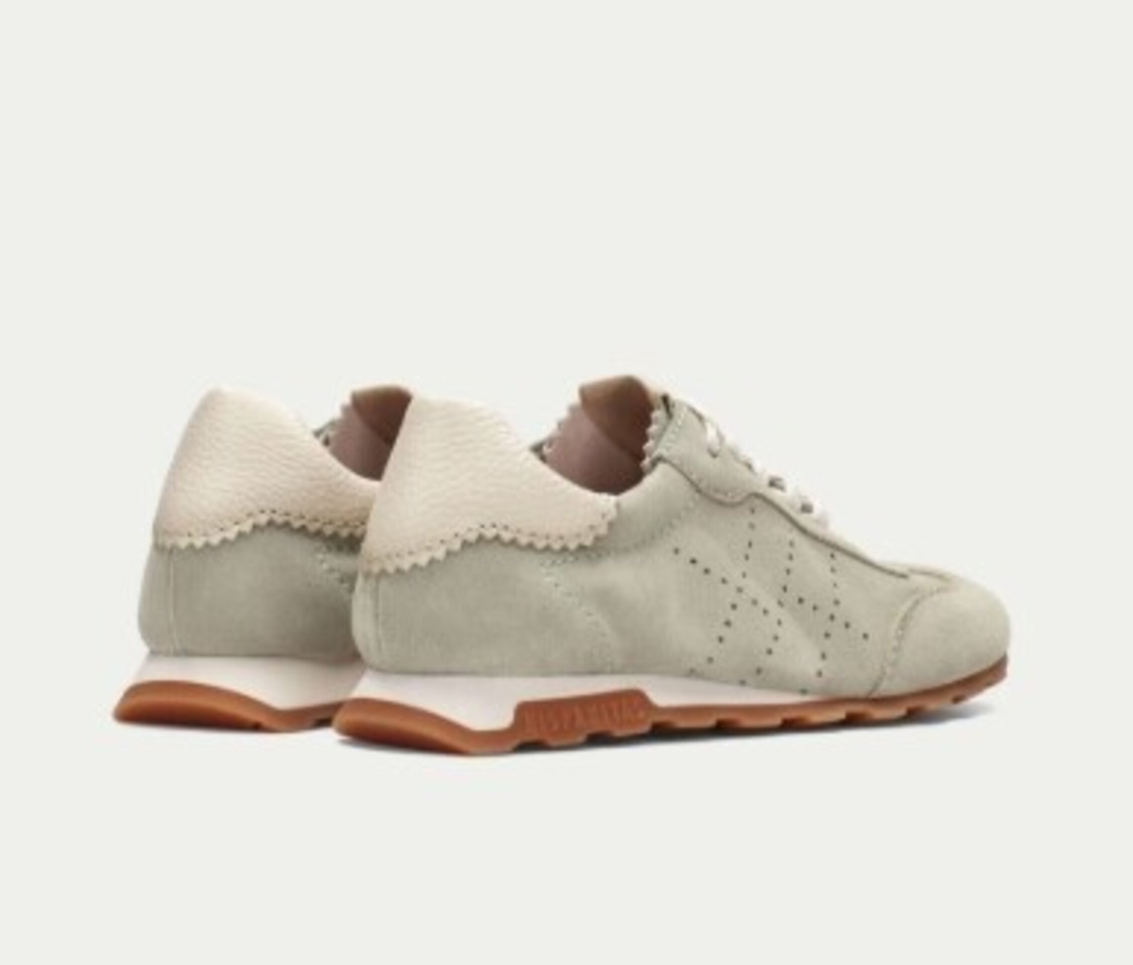 Deportivo Hispanitas Zinnia nobuk alga HV264502 - 5