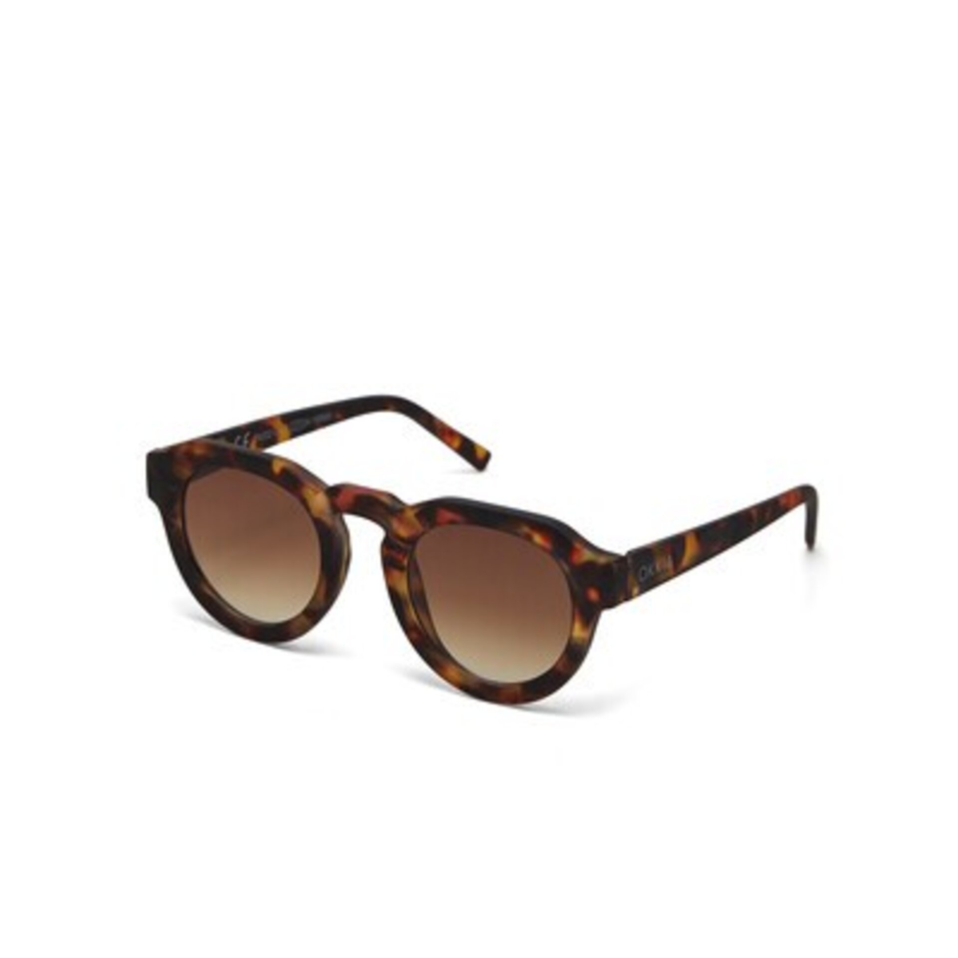 Gafas Okkia de sol Zeno Round classic havana OK032-CH - 5
