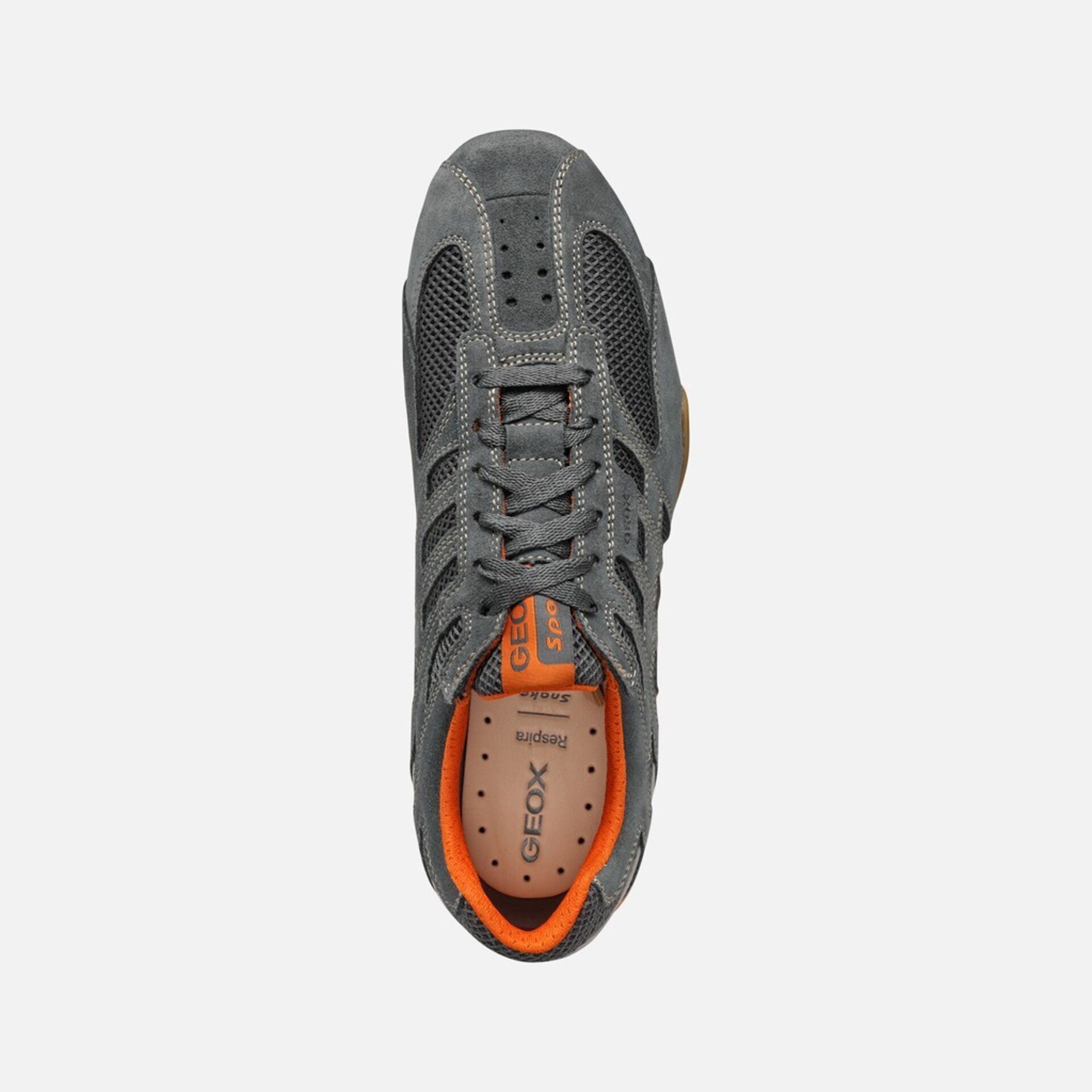 Deportivo Geox Snake Original U55MNA - 5