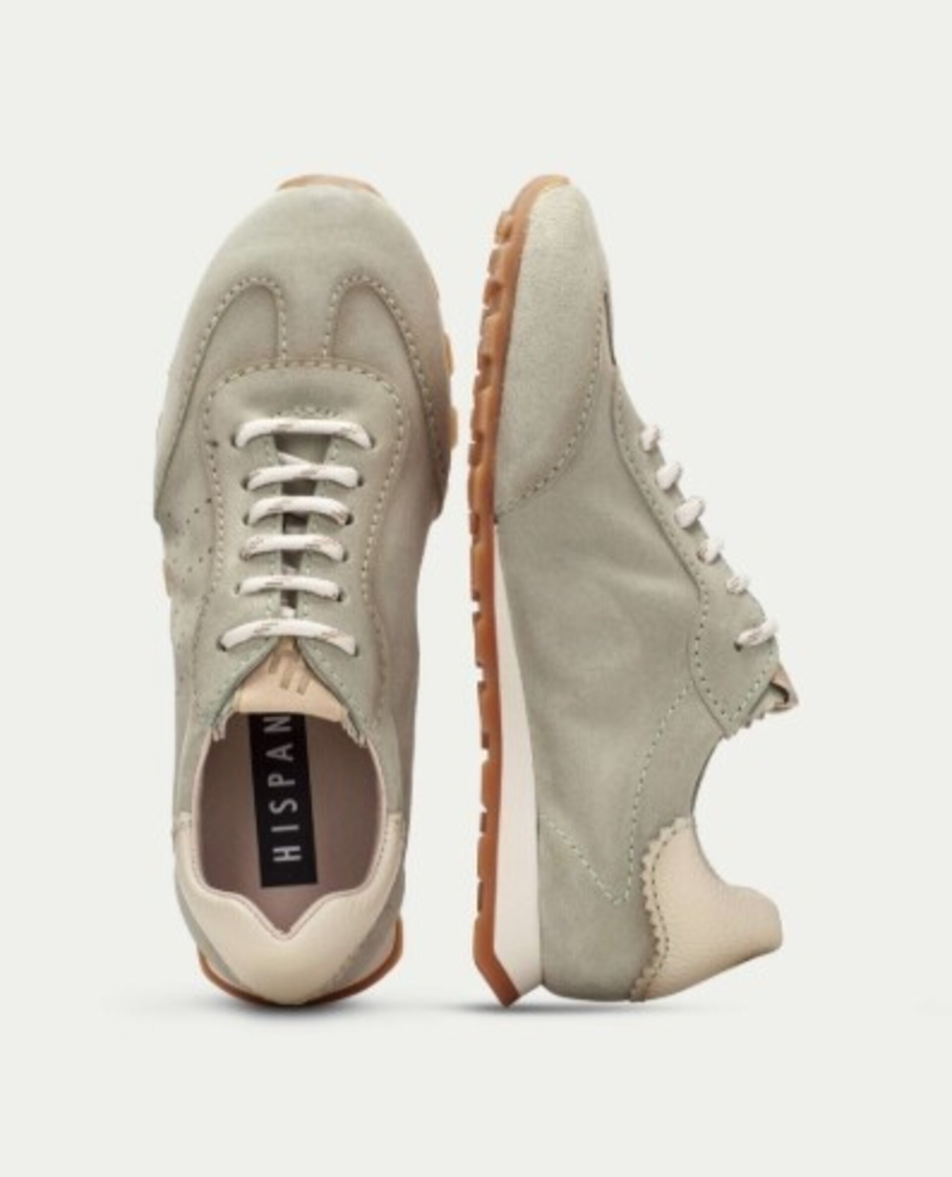 Deportivo Hispanitas Zinnia nobuk alga HV264502 - 3