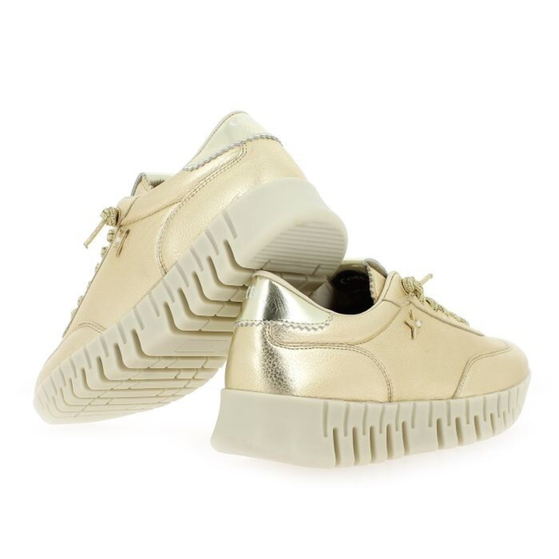 Deportivo CETTI champán V26 GORDON SRA C1381 - 5