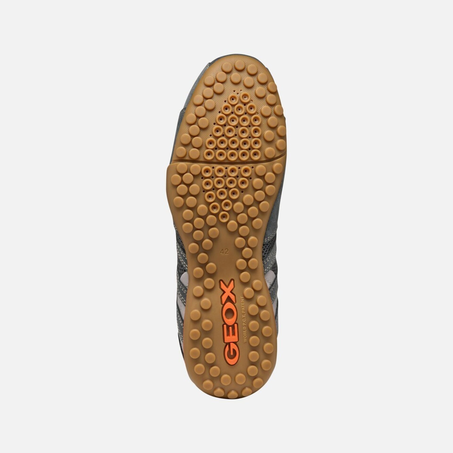 Deportivo Geox Snake Original U55MNA - 6