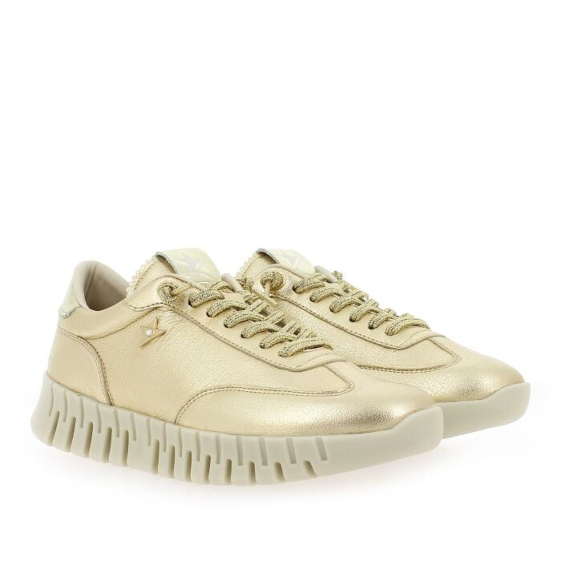 Deportivo CETTI champán V26 GORDON SRA C1381 - 6