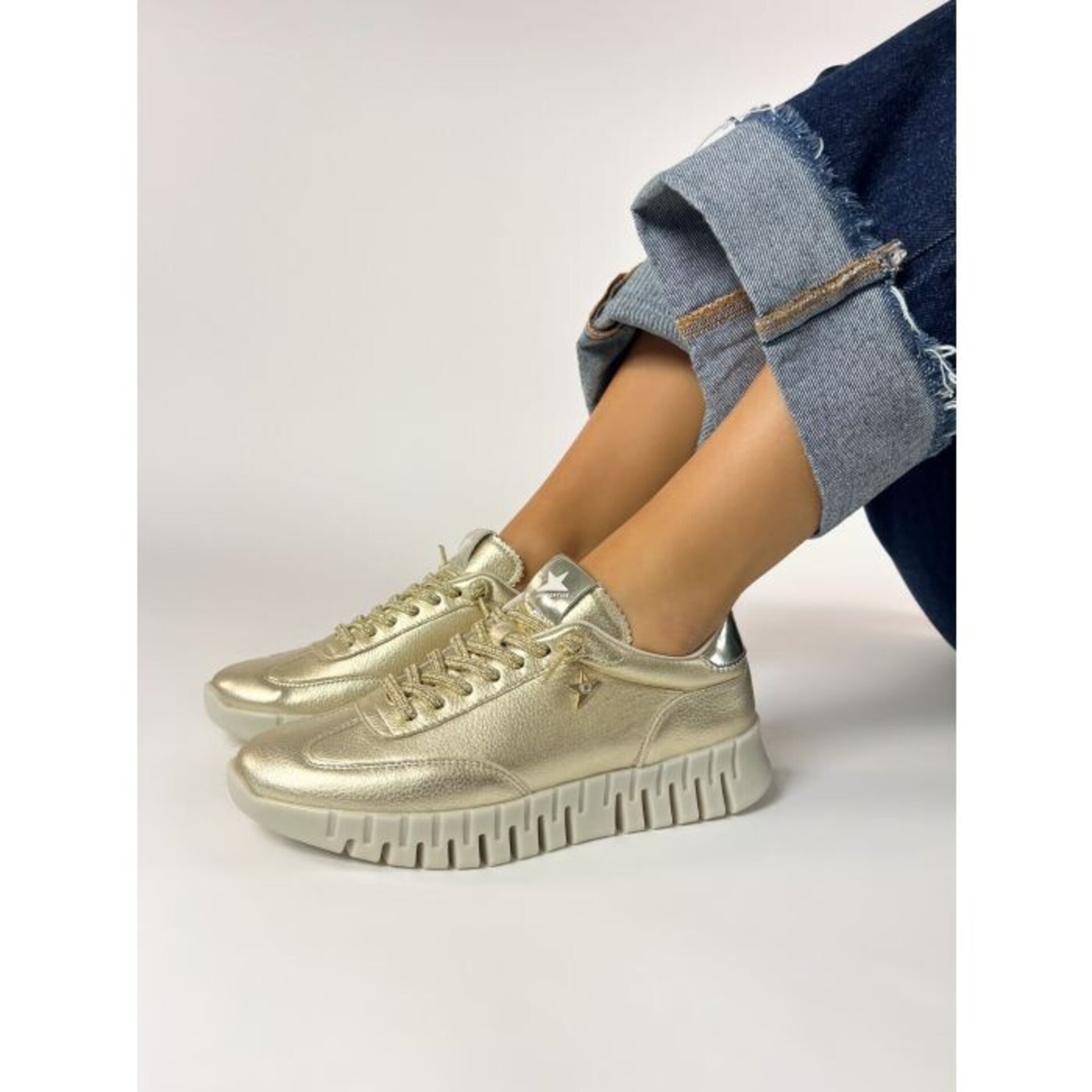 Deportivo CETTI champán V26 GORDON SRA C1381 - 1