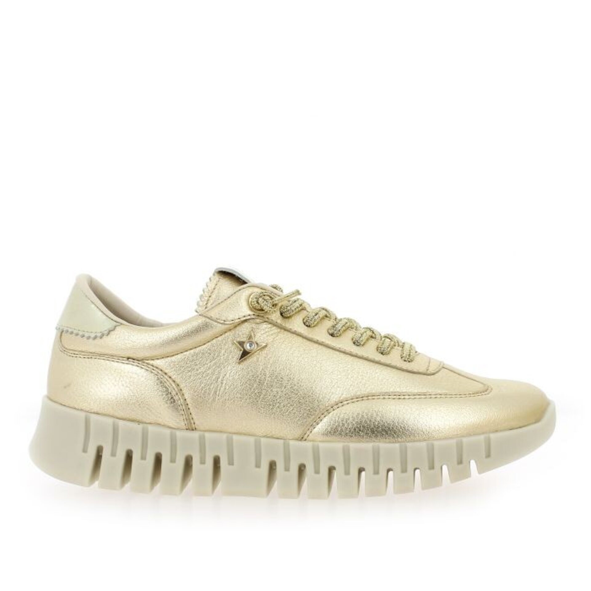 Deportivo CETTI champán V26 GORDON SRA C1381 - 2